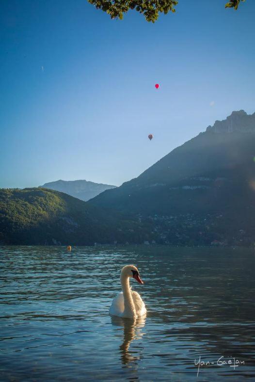 Apartament Lpa Annecy Zewnętrze zdjęcie